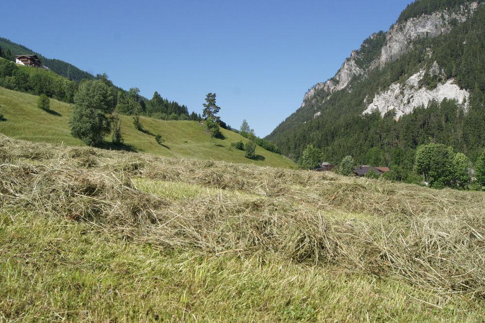 Ferienwohnung Zeffererhof Schladming Exterior foto